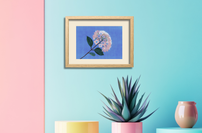 Hydrangea vaporeux