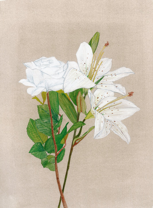 La rose murmure au lys : que la sérénité fleurisse!